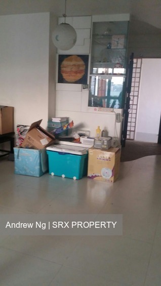 Blk 13 Farrer Park Road (Kallang/Whampoa), HDB 5 Rooms #178050812